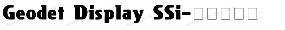 Geodet Display SSi字体转换